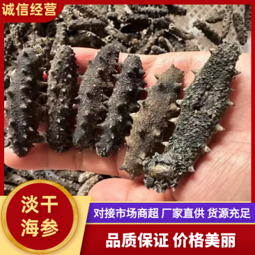 淡干海参，包邮到家，诚信经营，可对接各大电商超市等
