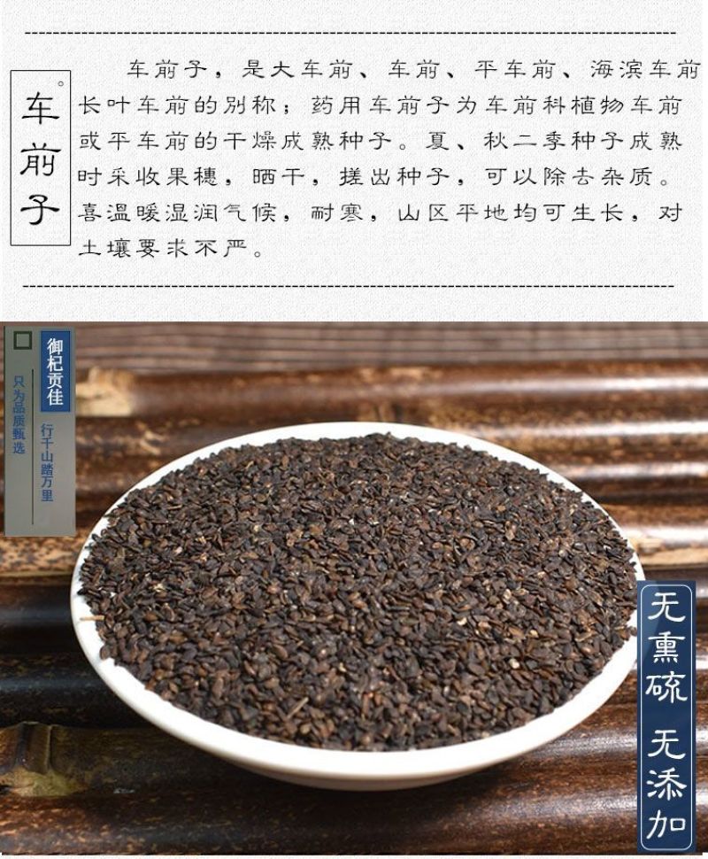 中药材野生车前子包邮车前子车前草籽特级车前子茶车前实无硫