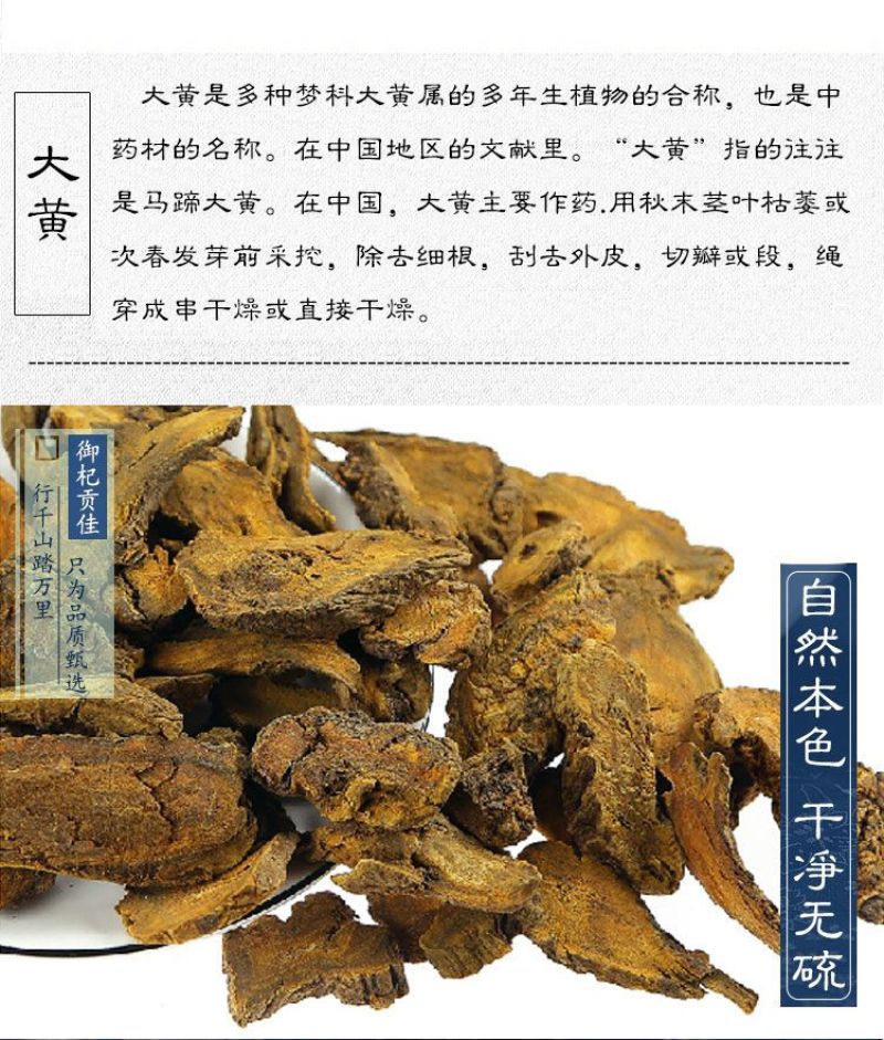 新货大黄中药材生大黄特级野生正品马蹄黄无硫新货大黄新鲜