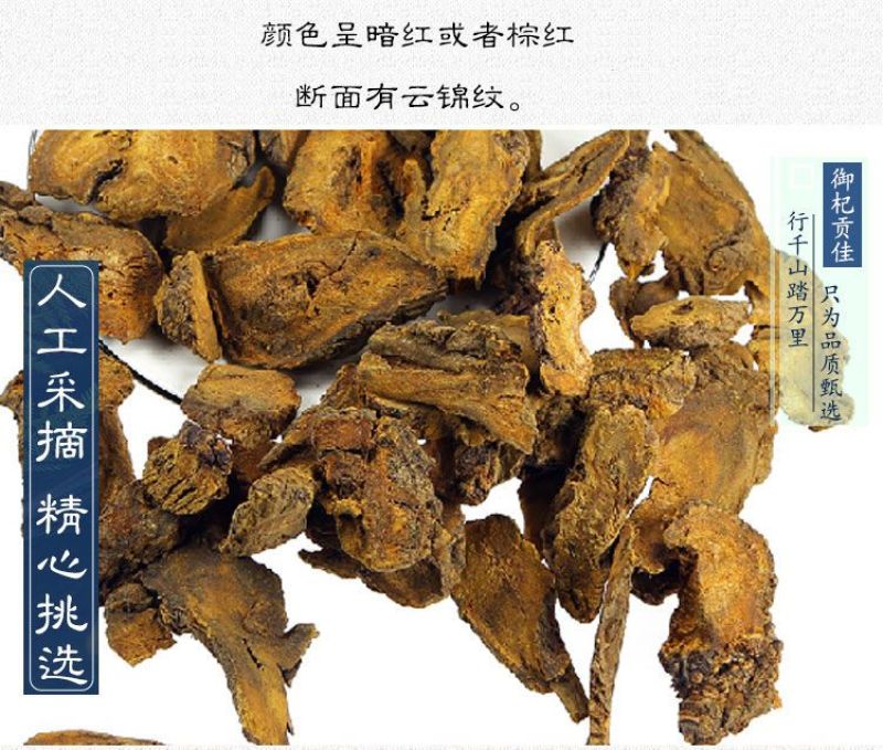 新货大黄中药材生大黄特级野生正品马蹄黄无硫新货大黄新鲜