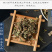 旱莲草中药材精选新货墨旱莲旱连草不硫熏干净无杂质品质保