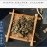 旱莲草中药材精选新货墨旱莲旱连草不硫熏干净无杂质品质保
