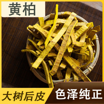 黄柏正宗黄柏片四川树皮川黄柏片黄柏关黄药用正品中药材黄柏