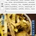 黄柏正宗黄柏片四川树皮川黄柏片黄柏关黄药用正品中药材黄柏