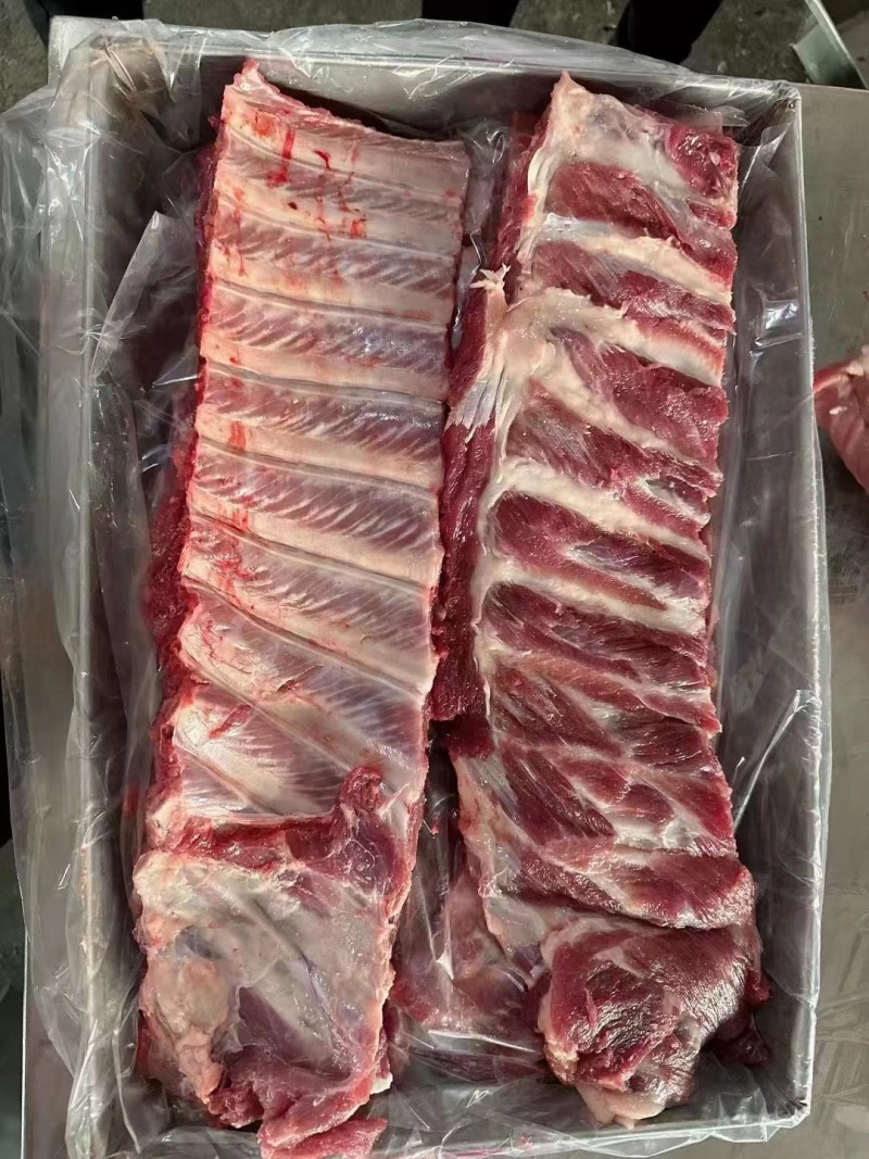 母猪寸排