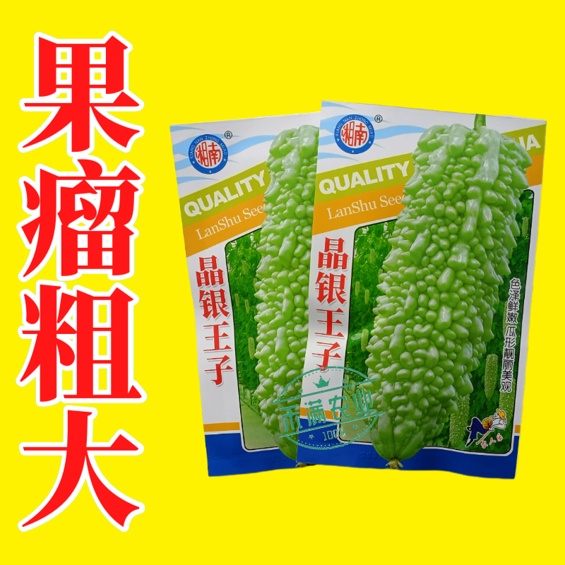 蓝蔬种业晶银王子苦瓜种子果瘤粗大型绿苦瓜四季抗病特大苦瓜