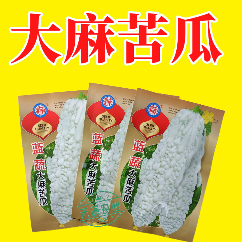 蓝蔬大麻苦瓜种子甘甜不苦基地优选春播抗病耐热蓝山大白苦瓜