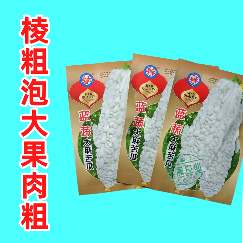 蓝蔬大麻苦瓜种子甘甜不苦基地优选春播抗病耐热蓝山大白苦瓜