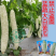蓝蔬种业蓝山大白苦瓜种子基地优选高产抗病耐寒耐热四季蔬菜