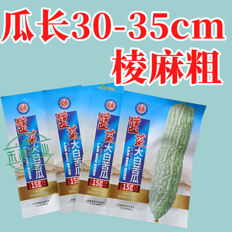 蓝蔬种业蓝山大白苦瓜种子基地优选高产抗病耐寒耐热四季蔬菜