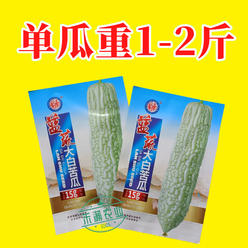 蓝蔬种业蓝山大白苦瓜种子基地优选高产抗病耐寒耐热四季蔬菜