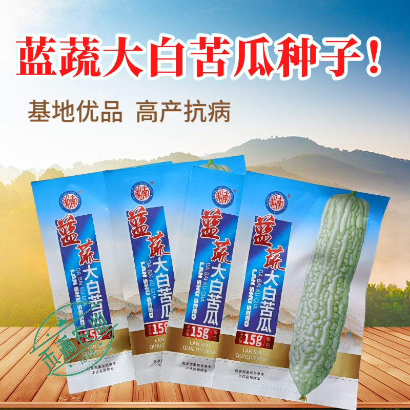 蓝蔬种业蓝山大白苦瓜种子基地优选高产抗病耐寒耐热四季蔬菜