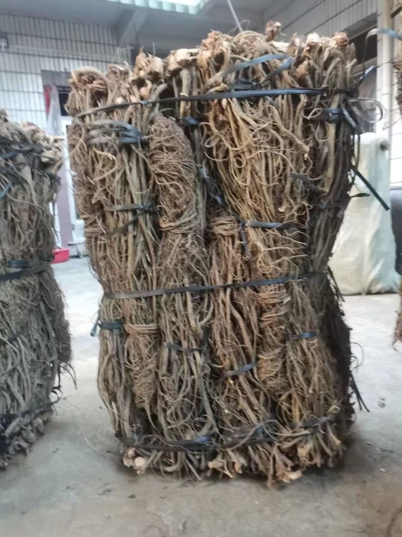 【品质保证】毒鱼藤根一手货源产地直发欢迎来电咨询