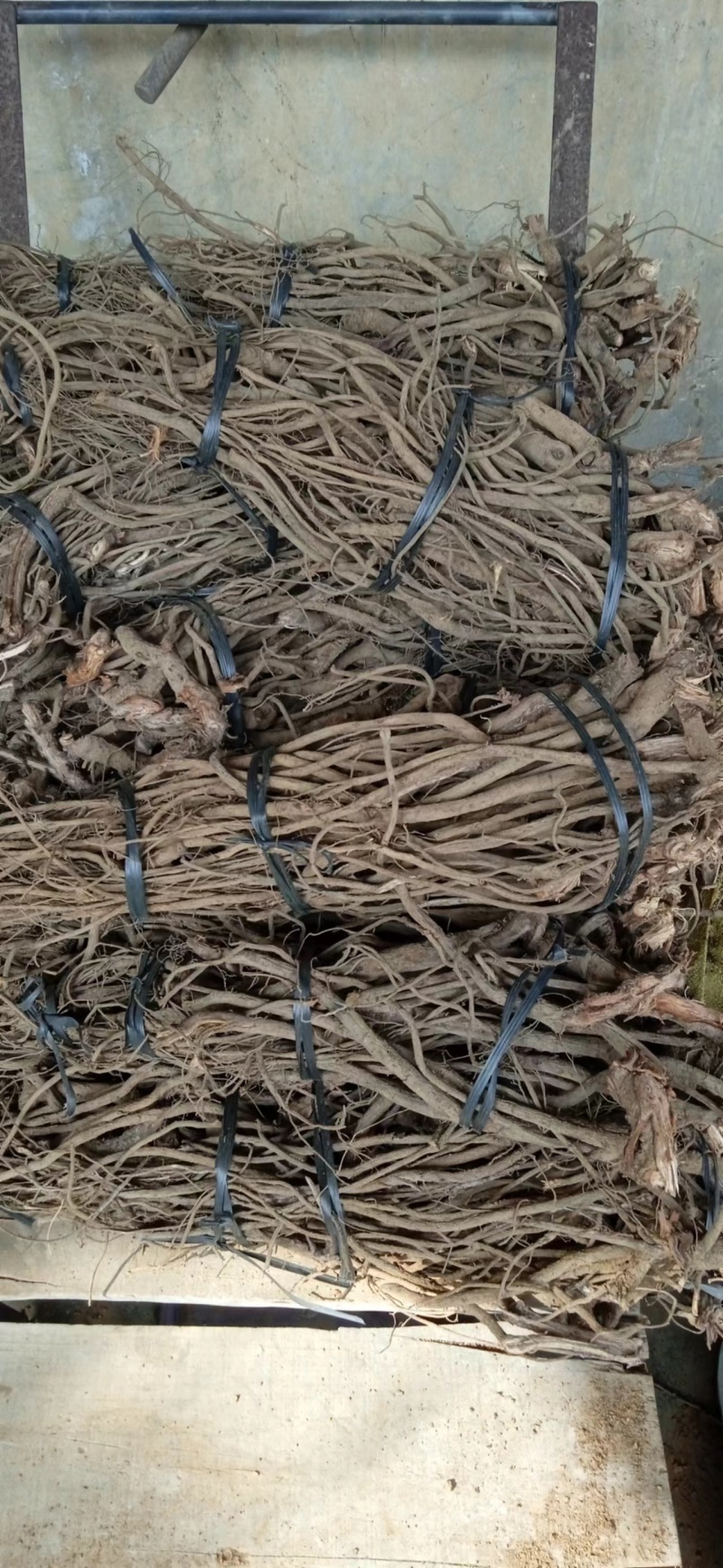 精品毒鱼藤根大量有货产地直销品质保证可视频看货