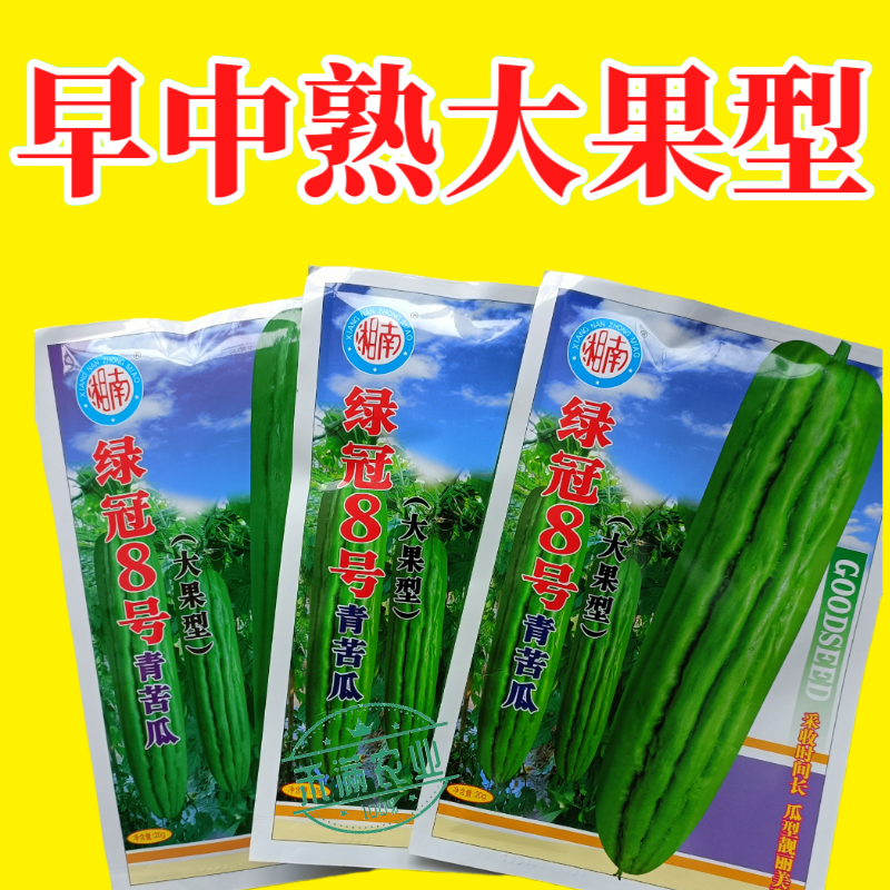 蓝蔬绿冠8号青苦瓜种子耐热耐寒多肉大果型青苦瓜翠玉绿色苦