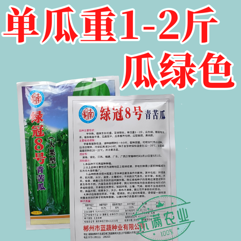 蓝蔬绿冠8号青苦瓜种子耐热耐寒多肉大果型青苦瓜翠玉绿色苦