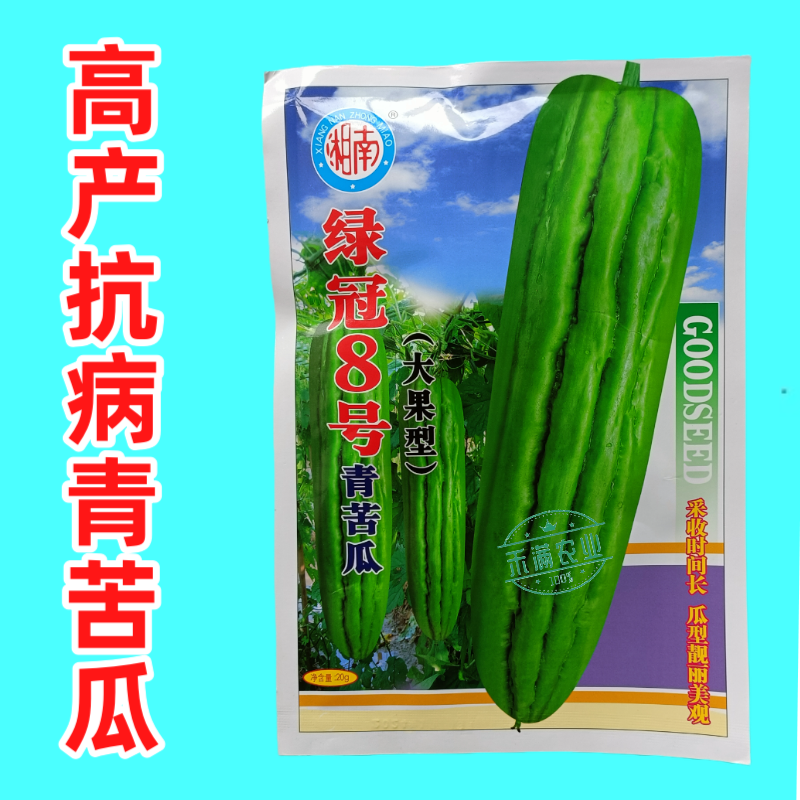 蓝蔬绿冠8号青苦瓜种子耐热耐寒多肉大果型青苦瓜翠玉绿色苦