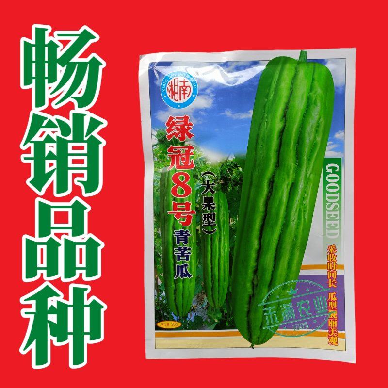 蓝蔬绿冠8号青苦瓜种子耐热耐寒多肉大果型青苦瓜翠玉绿色苦