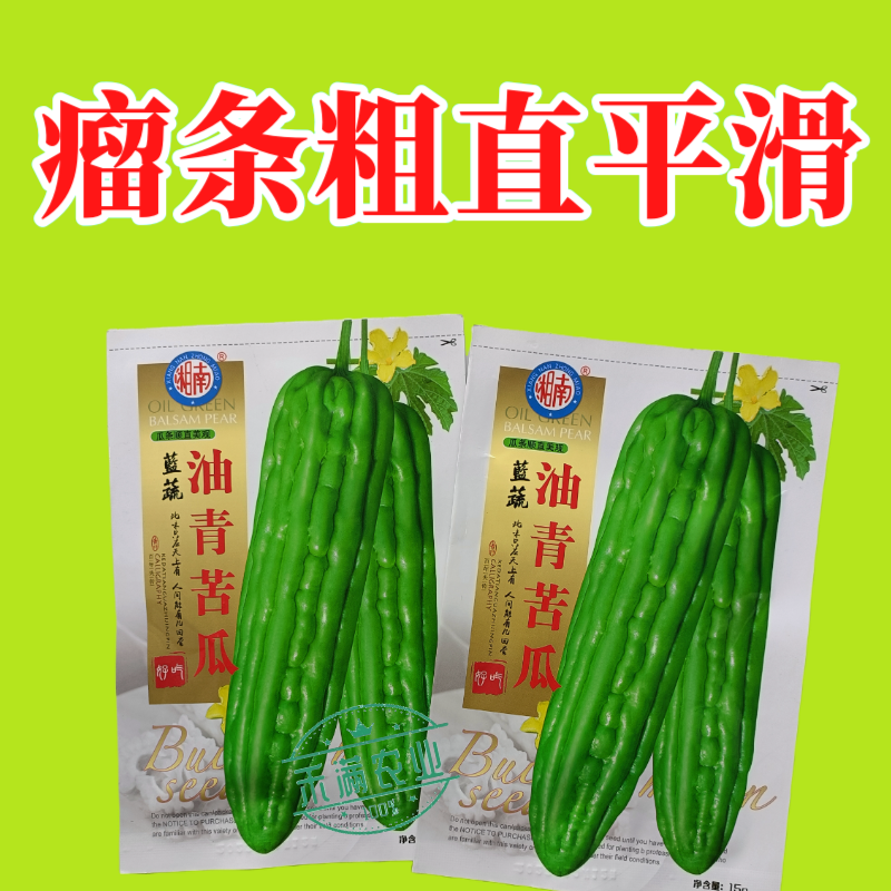 油青大苦瓜种子耐热耐寒多肉苦瓜种籽早熟翠玉绿色苦瓜种籽