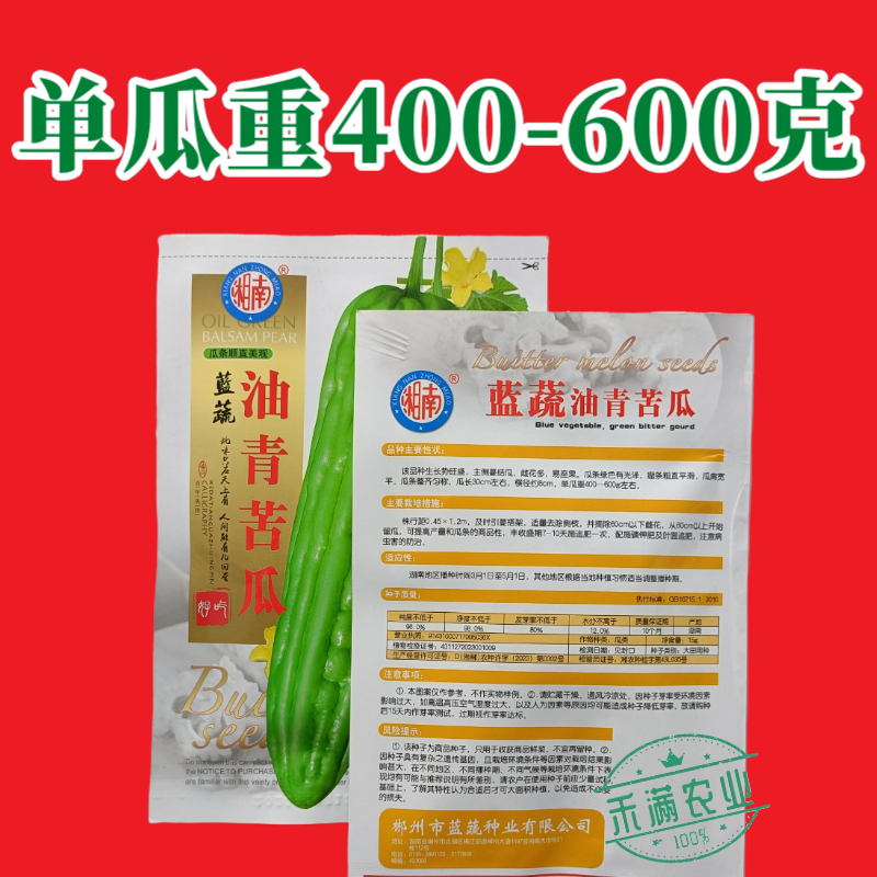 油青大苦瓜种子耐热耐寒多肉苦瓜种籽早熟翠玉绿色苦瓜种籽