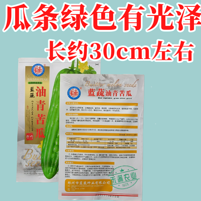 油青大苦瓜种子耐热耐寒多肉苦瓜种籽早熟翠玉绿色苦瓜种籽