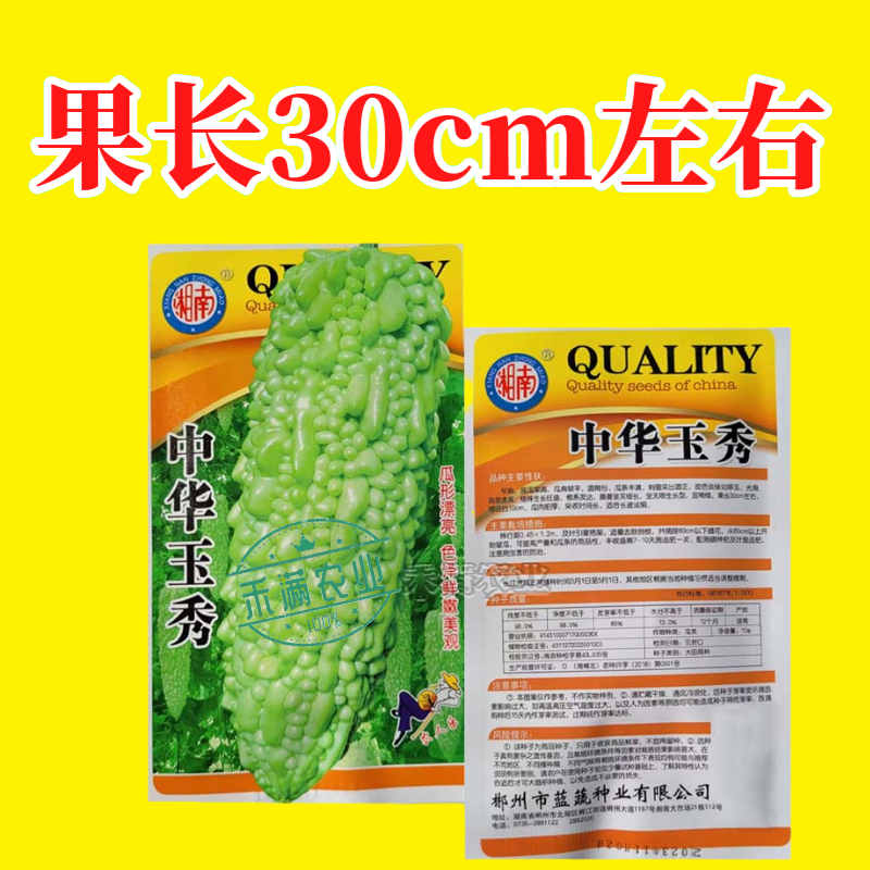 中华玉秀苦瓜种子耐热耐寒珍珠苦瓜种籽早熟翠玉绿色苦瓜籽