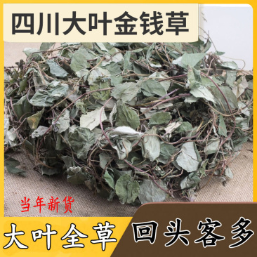 大叶金钱草中草药新鲜晒干金前草泡茶泡水喝