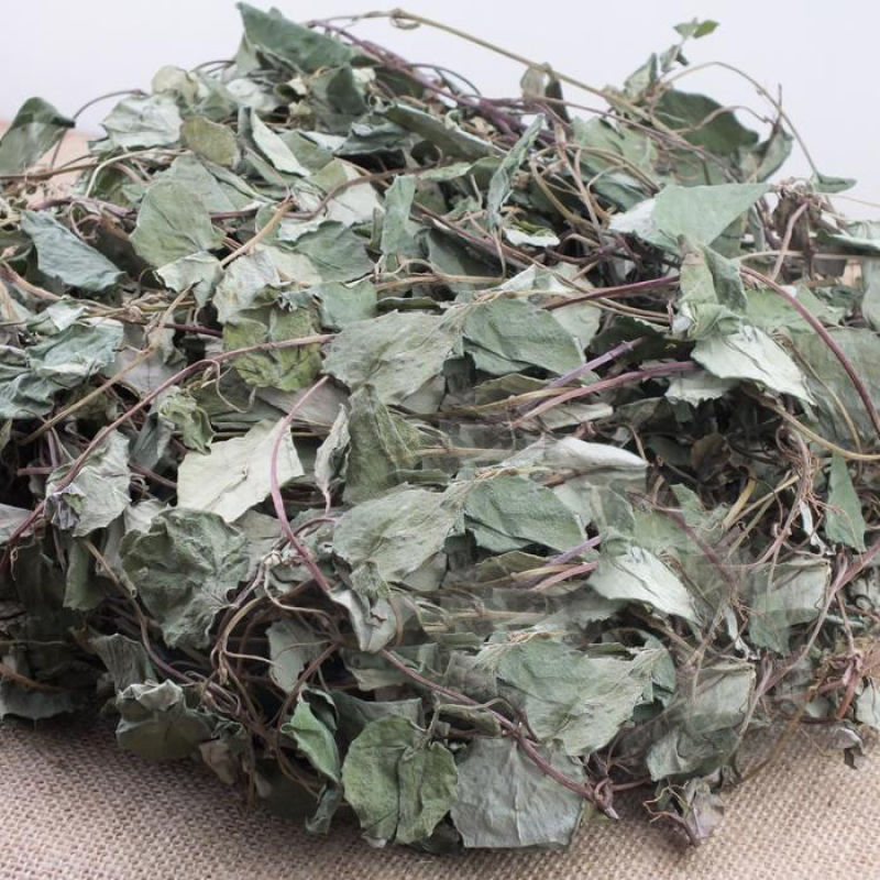 大叶金钱草中草药新鲜晒干金前草泡茶泡水喝