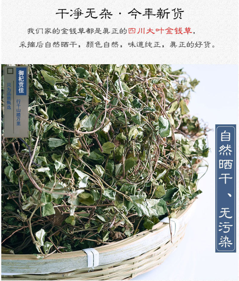 大叶金钱草中草药新鲜晒干金前草泡茶泡水喝