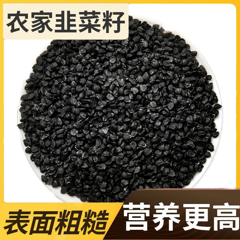 中药材韭菜子500克纯韭菜籽韭菜粉韭菜籽泡酒天然生籽菲菜