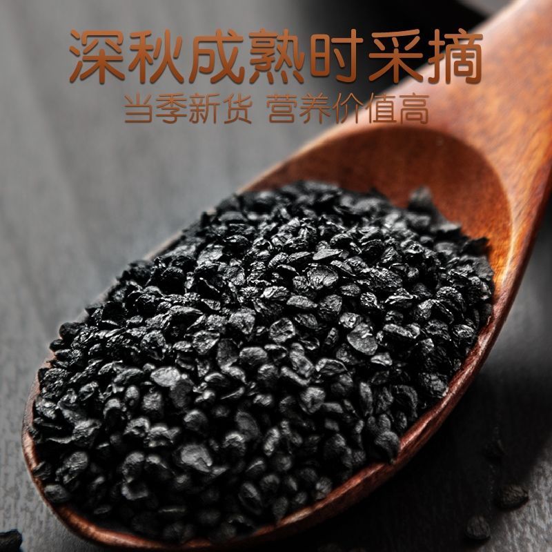 中药材韭菜子500克纯韭菜籽韭菜粉韭菜籽泡酒天然生籽菲菜