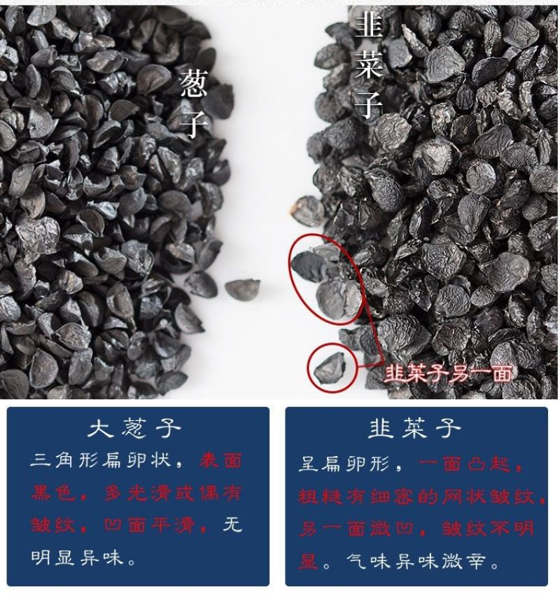 中药材韭菜子500克纯韭菜籽韭菜粉韭菜籽泡酒天然生籽菲菜