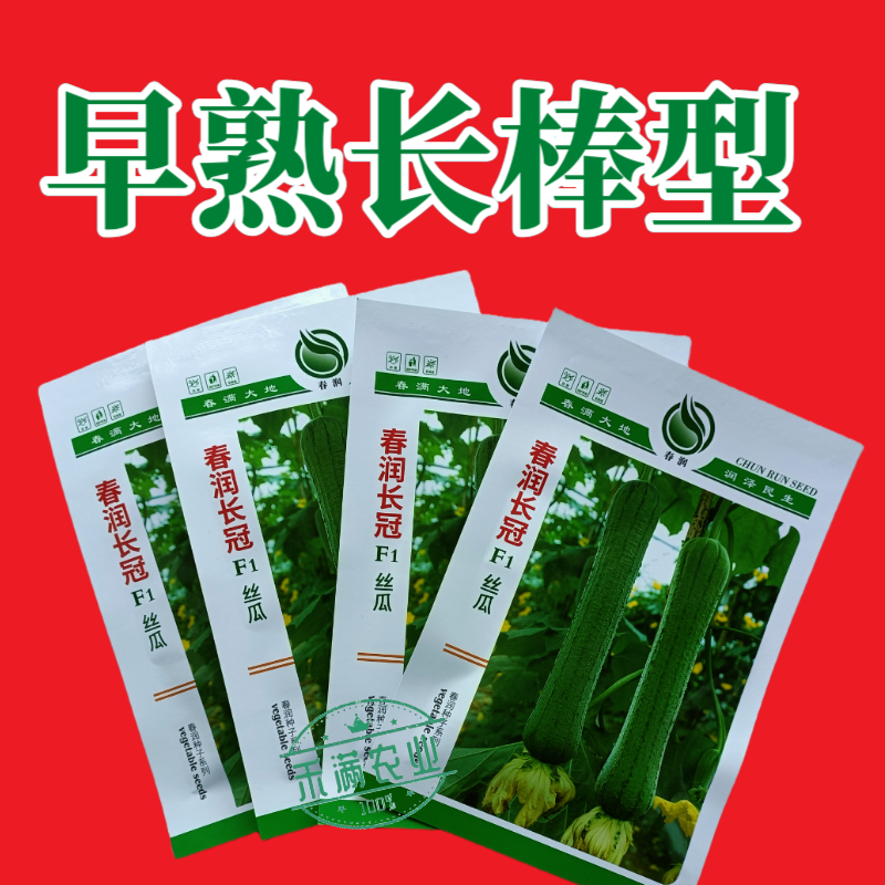 春润长冠杂交丝瓜种子早熟长棒型皱皮白霜丝瓜种子基地精选