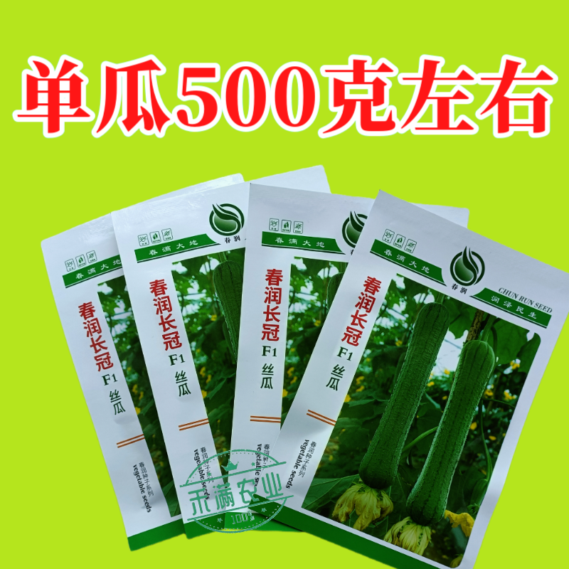 春润长冠杂交丝瓜种子早熟长棒型皱皮白霜丝瓜种子基地精选