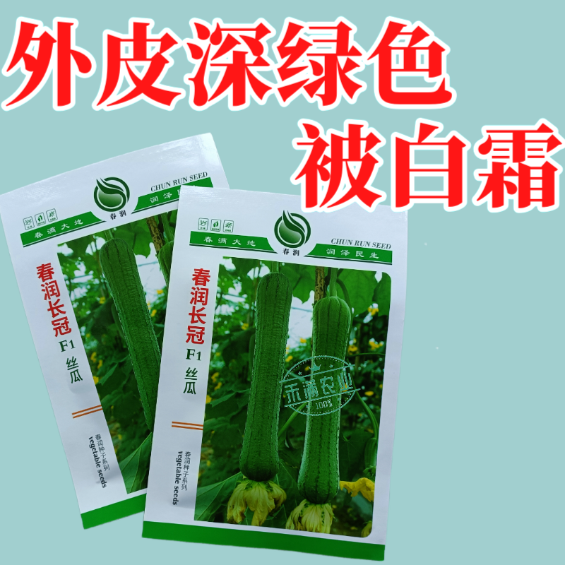 春润长冠杂交丝瓜种子早熟长棒型皱皮白霜丝瓜种子基地精选