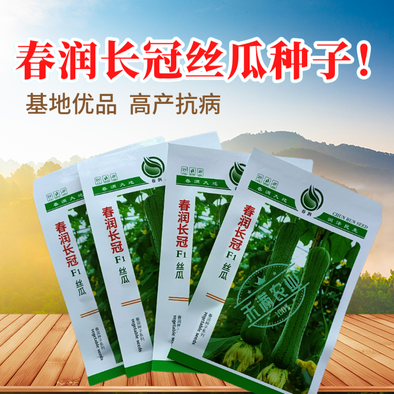 春润长冠杂交丝瓜种子早熟长棒型皱皮白霜丝瓜种子基地精选