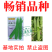粒粒发花海2号大肉花点丝瓜种子广东广西八棱丝瓜八角丝瓜种