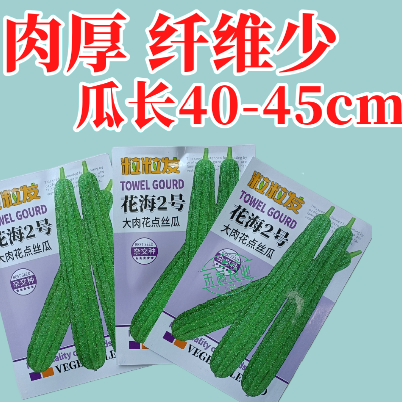 粒粒发花海2号大肉花点丝瓜种子广东广西八棱丝瓜八角丝瓜种