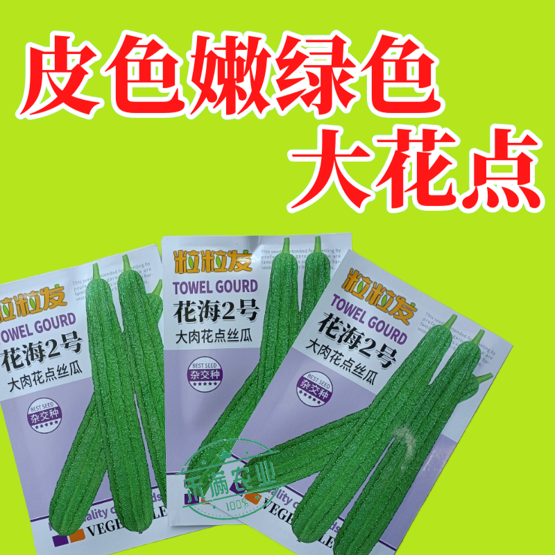 粒粒发花海2号大肉花点丝瓜种子广东广西八棱丝瓜八角丝瓜种
