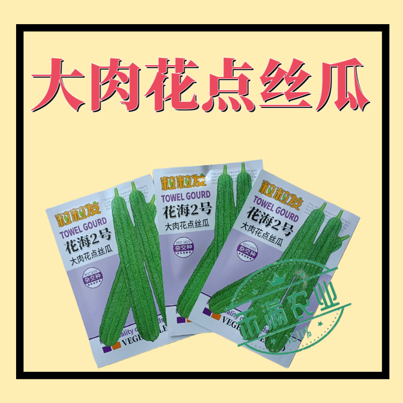 粒粒发花海2号大肉花点丝瓜种子广东广西八棱丝瓜八角丝瓜种