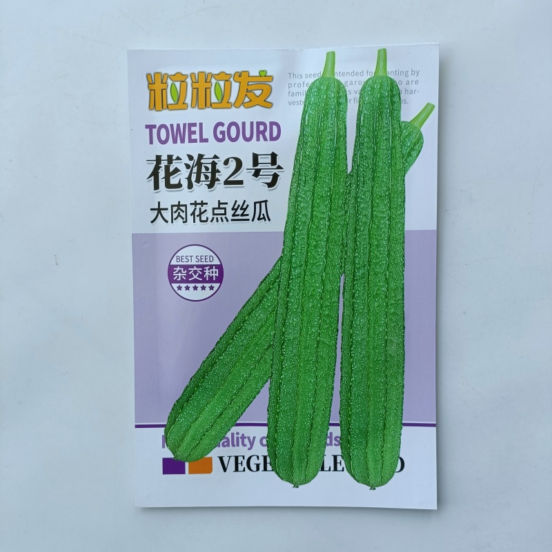 粒粒发花海2号大肉花点丝瓜种子广东广西八棱丝瓜八角丝瓜种