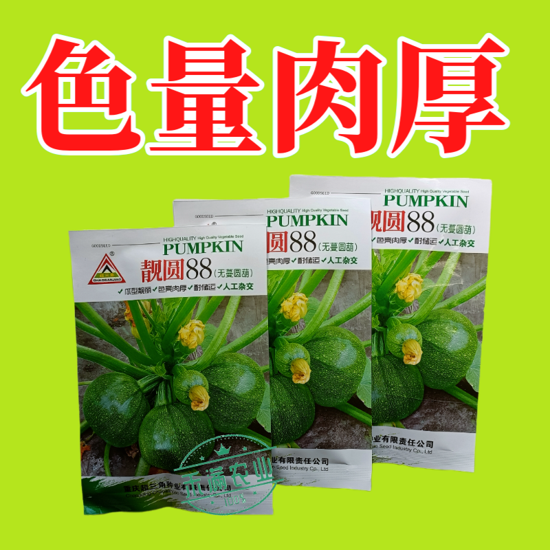 早熟无蔓圆葫南瓜种子靓圆88矮生嫩南瓜西葫芦种籽圆球形高