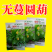 早熟无蔓圆葫南瓜种子靓圆88矮生嫩南瓜西葫芦种籽圆球形高