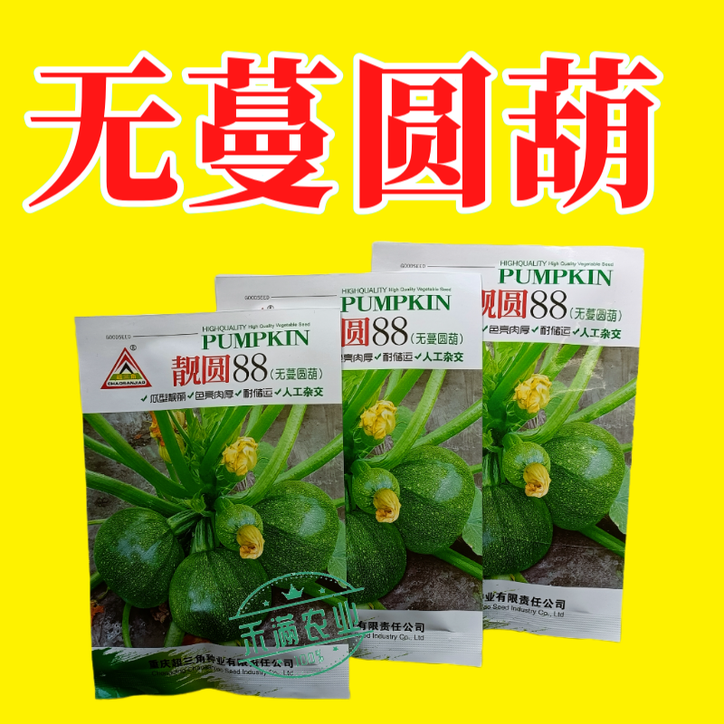 早熟无蔓圆葫南瓜种子靓圆88矮生嫩南瓜西葫芦种籽圆球形高
