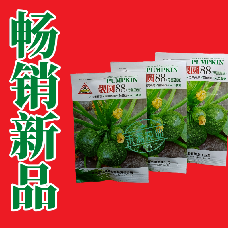 早熟无蔓圆葫南瓜种子靓圆88矮生嫩南瓜西葫芦种籽圆球形高