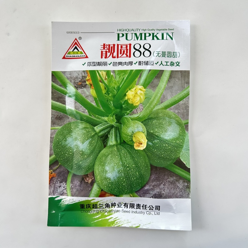 早熟无蔓圆葫南瓜种子靓圆88矮生嫩南瓜西葫芦种籽圆球形高