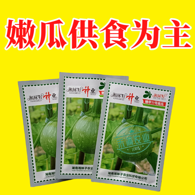可爬地可搭架一串铃嫩早南瓜种子籽青南瓜种子嫩南瓜种籽小南