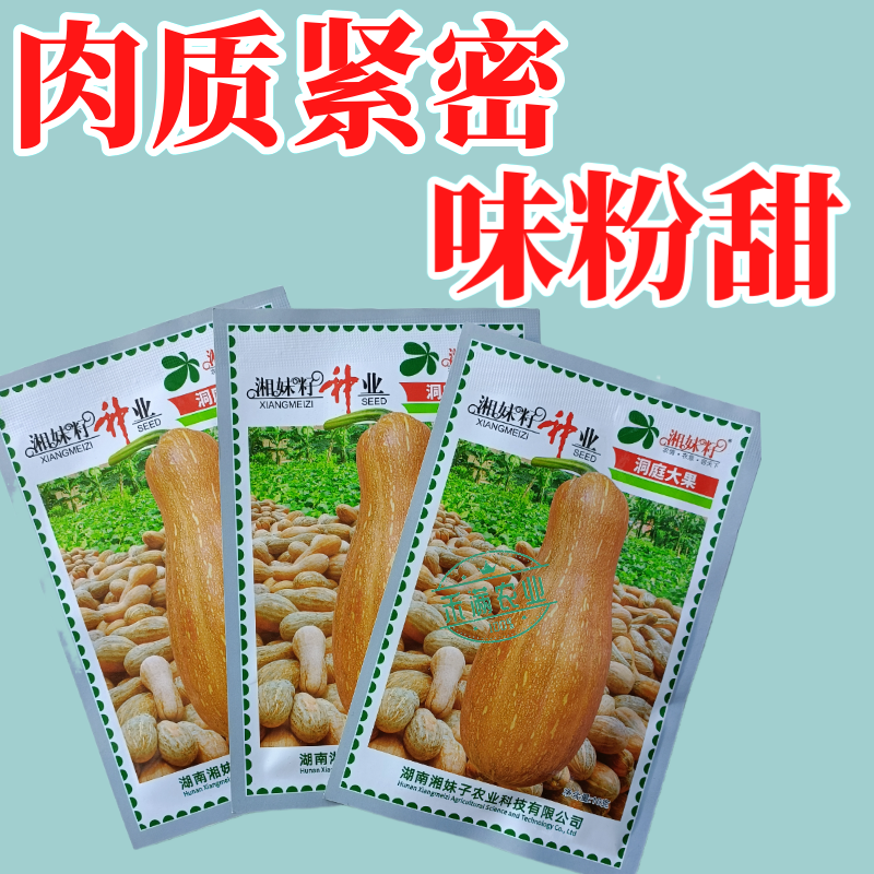 湘妹籽蜜本南瓜种子籽洞庭大果南瓜种籽单果重10斤大南瓜种