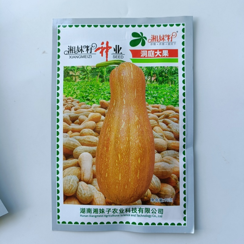 湘妹籽蜜本南瓜种子籽洞庭大果南瓜种籽单果重10斤大南瓜种