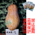 湘妹籽娃娃蜜一号南瓜种子口感粉甜小型南瓜种子新品花生